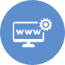 Custom Web Portal Development